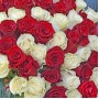 Букет 51 роза красная и белая